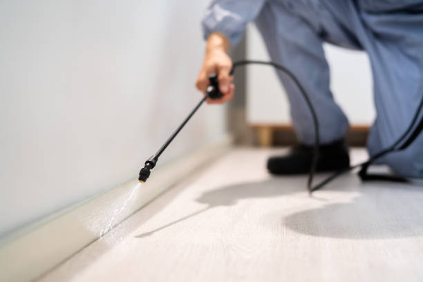 Licensed Pest Control service in Clemson University, SC - Show Me Pest Control