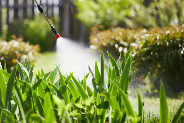 Tamper-Resistant Bait Stations for Rodents in Clemson University