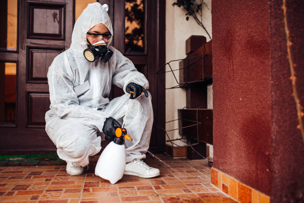 Attic and Crawl Space Rodent Treatment in Clemson University