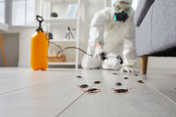 Commercial Rodent Management in Clemson University
